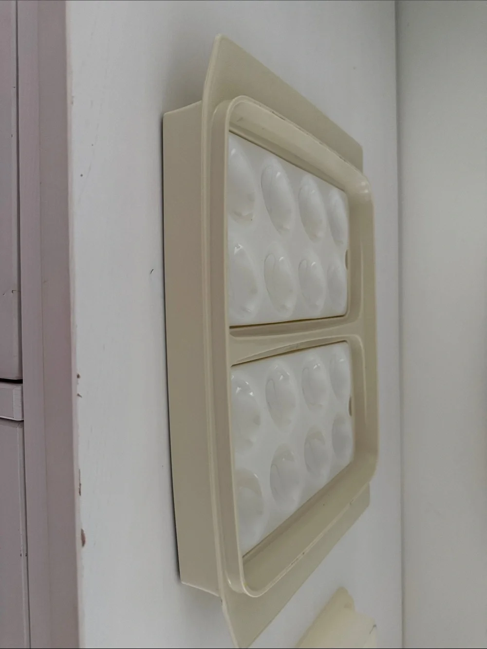 Deviled Egg Storage Container - Home Storage & Organization